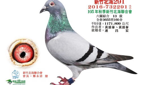 黑松露雄花鹿尾饮的功效和作用-黑松露面膜功效与作用-专业黑松露有什么功效和作用平台-黑松露的功效与作用护肤品